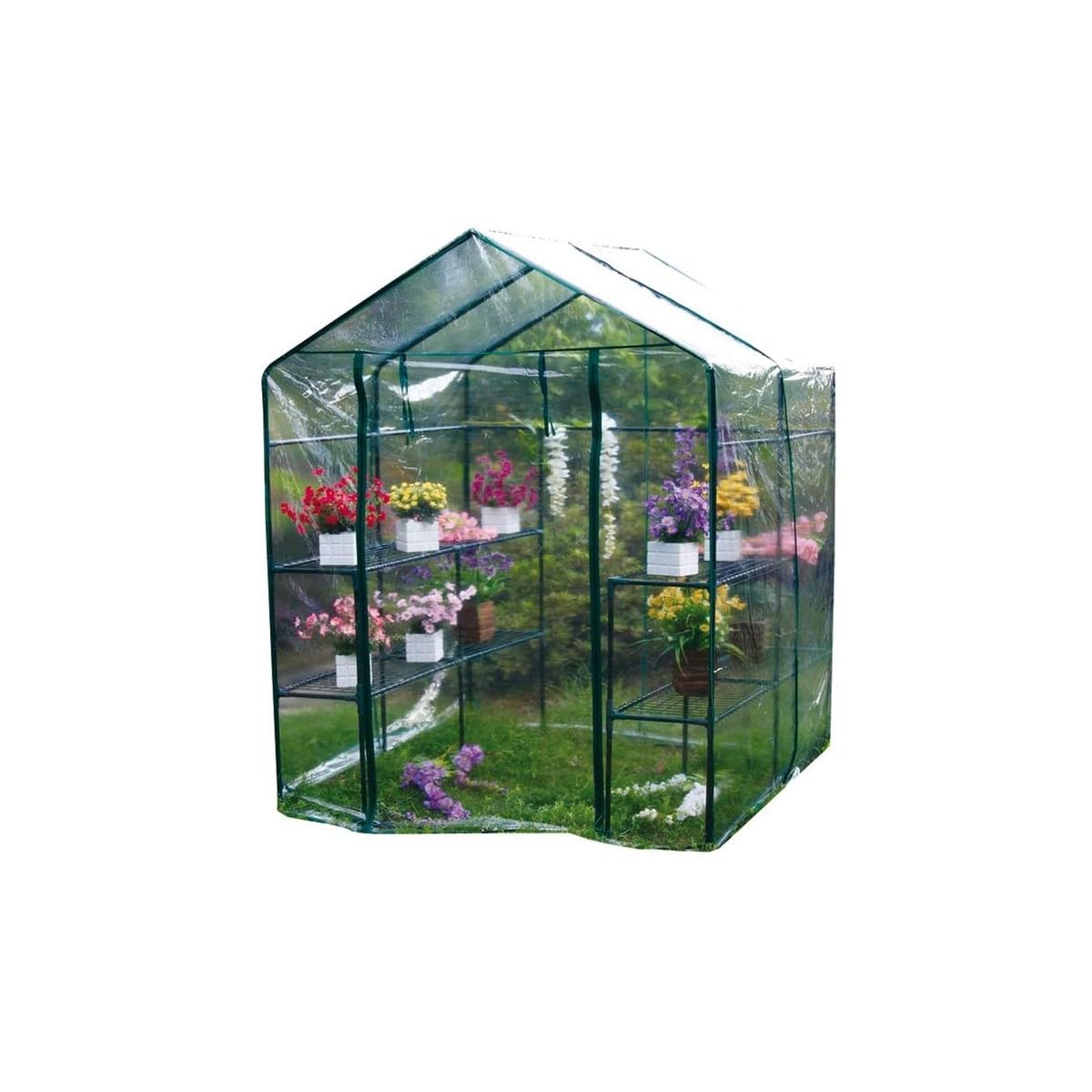 Serra da giardino per piante e fiori struttura in acciaio 4 ripiani,copertura Pvc L143XP143H195