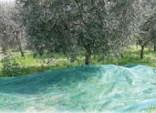 Rete per olive a teli Mt. 6x6 - con apertura