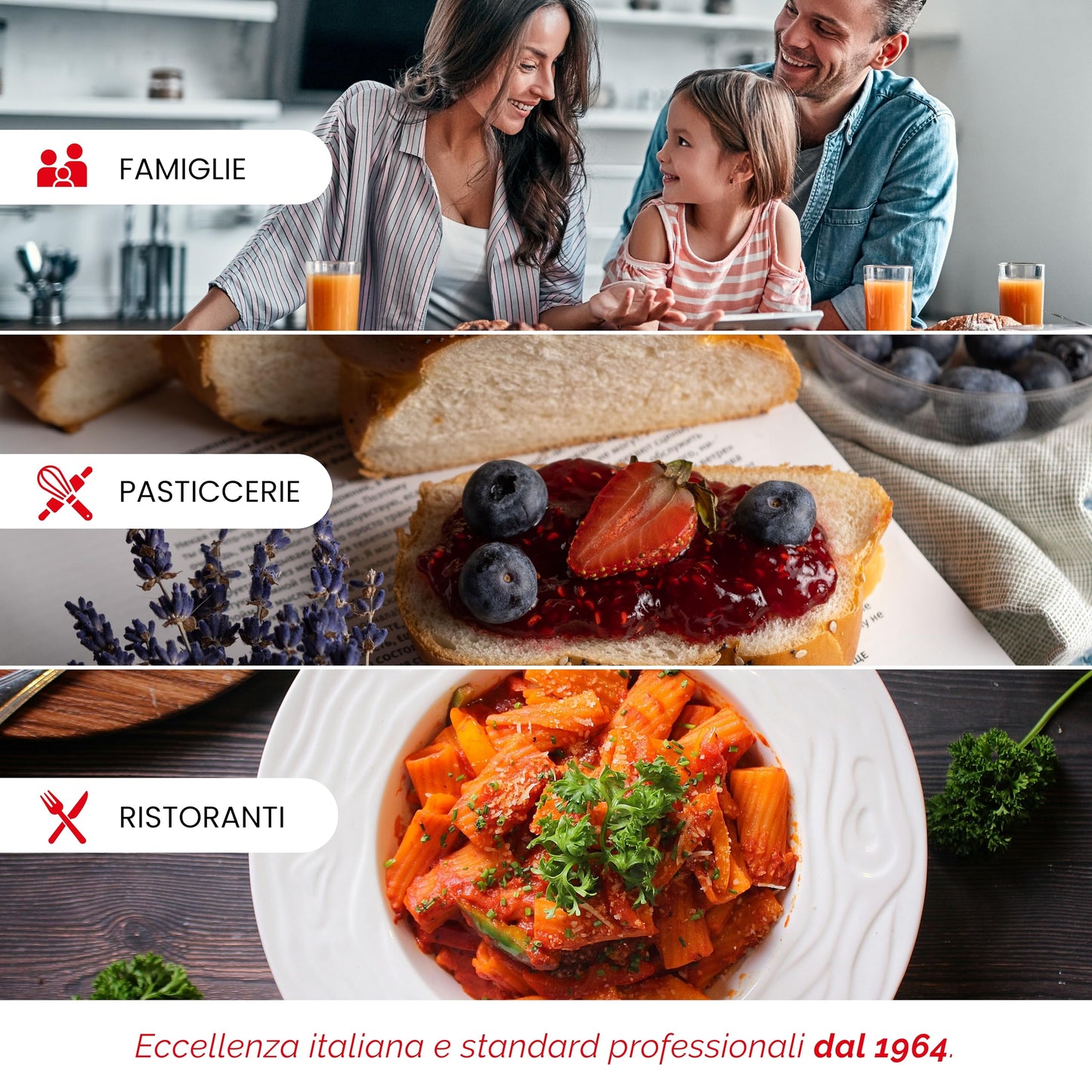 Reber Spremipomodoro Elettrico N.5 500W per Salsa di Pomodoro, Conserve, Marmellate e Succhi di Frutta – Produzione fino a 340 Kg/h – Accessori in Acciaio Inox – Motore a Induzione per Uso Continuo